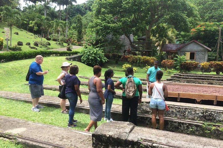 A group of people standing on a stone platform overlooking a garden with a pond and a small building in the background. 3