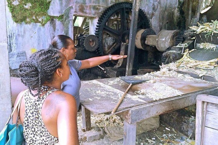 Private Grenada Island Tour: Waterfall, Spice Garden & Beach 3