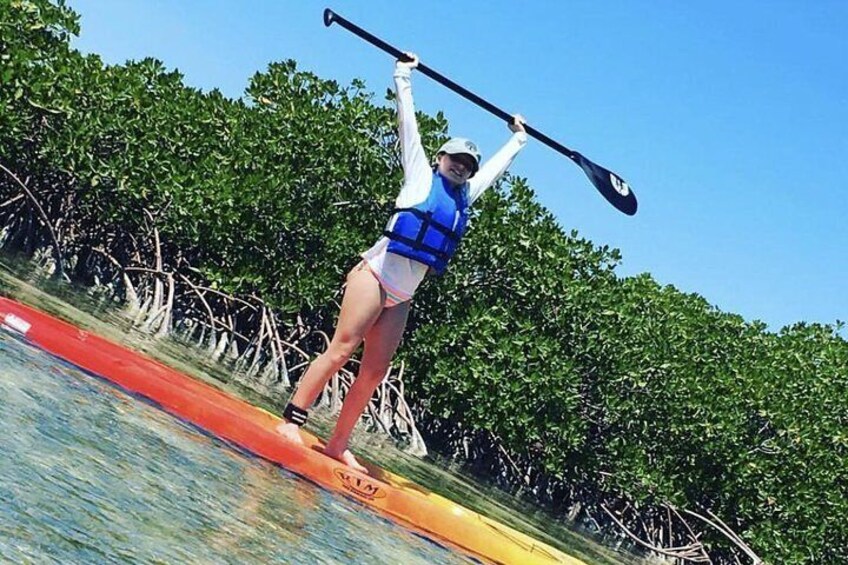 A person paddleboarding on a calm body of water, surrounded by dense mangrove trees. 1