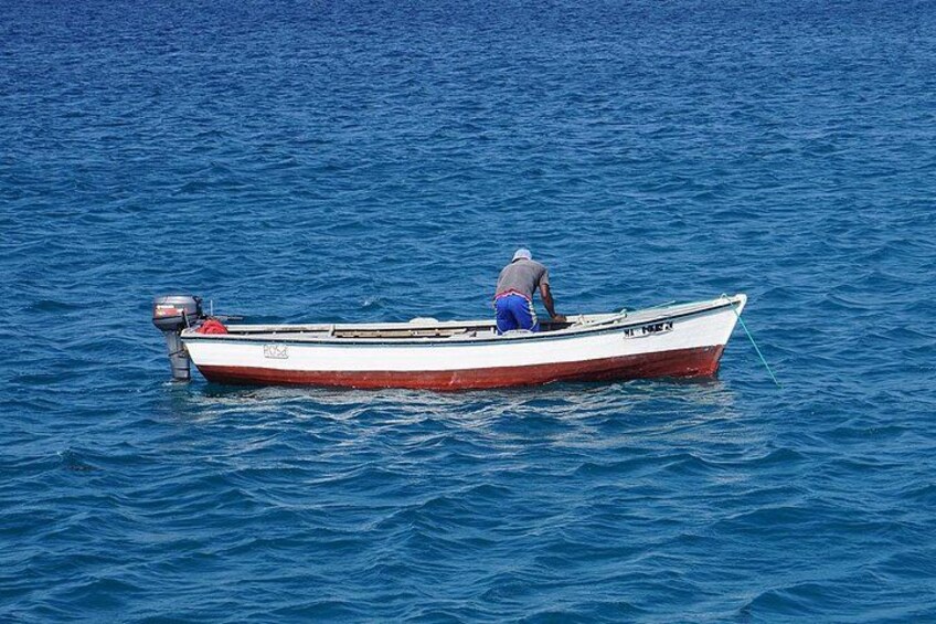 Boa Vista Tour: Santa Mónica, Desert & Shipwreck 4