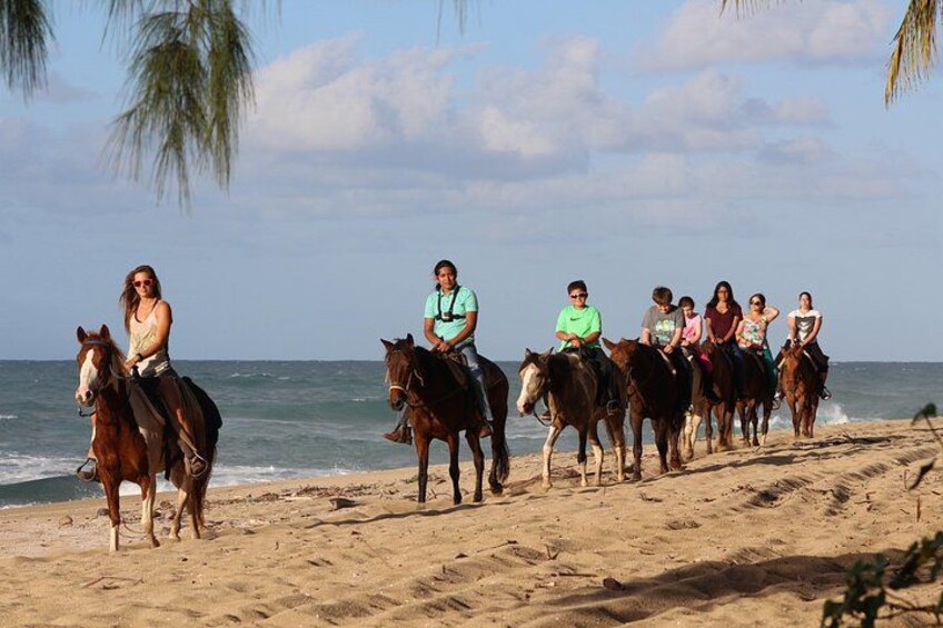 Family excursion 1