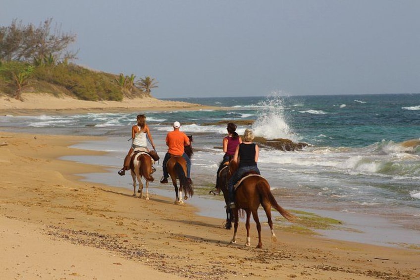 Cantering! 2
