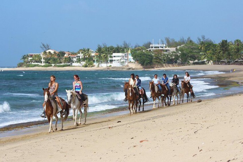 Shacks Beach 2