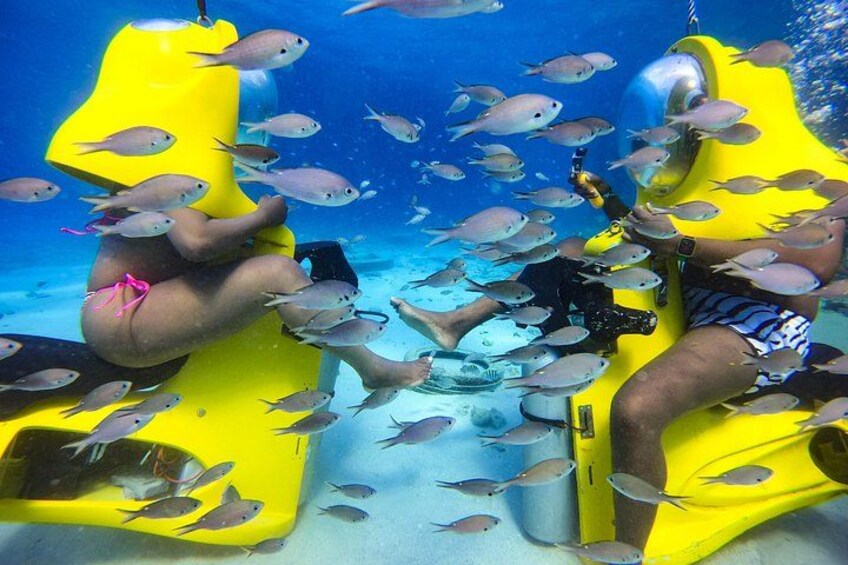 Aquafari Tour in Curaçao 2