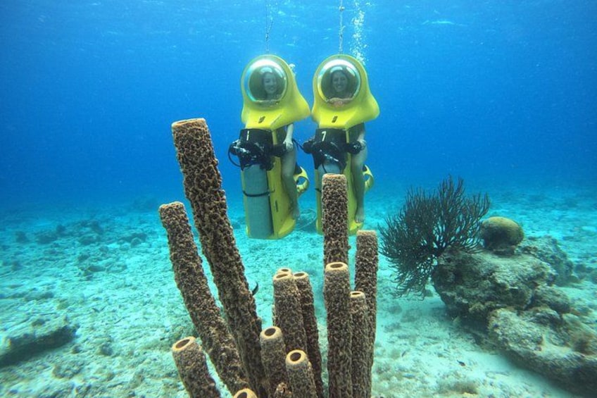 Dos buzos con trajes amarillos y cascos, rodeados de formaciones coralinas y vegetación submarina. 2