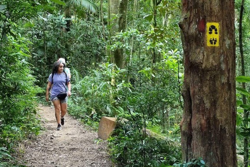 Making our way down Pedra Bonita trail 2