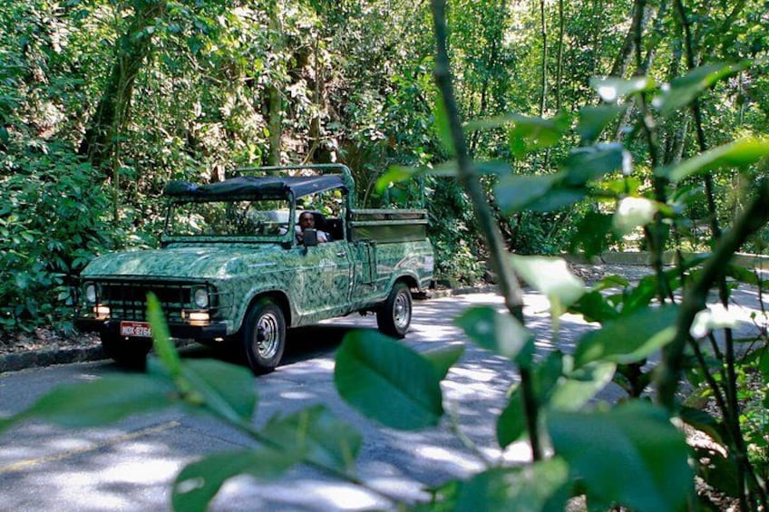 Tijuca Forest Jeep Tour 2
