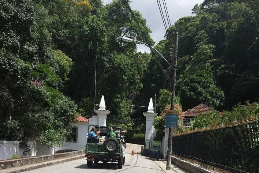Tijuca Forest Jeep Tour 3