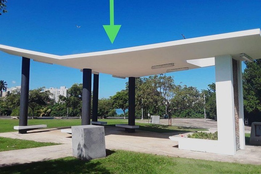 This is the meeting spot where you will find your instructor. 5