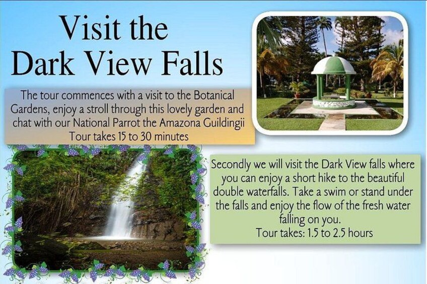 A tour guide describing a visit to the Dark View Falls, including the Botanical Gardens and the Amazon Gudiingii. 3