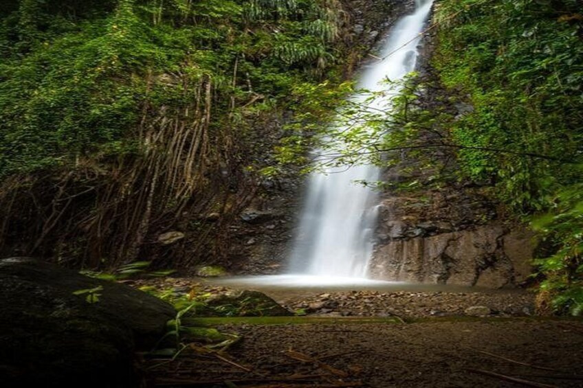 A waterfall surrounded by dense green foliage. 5