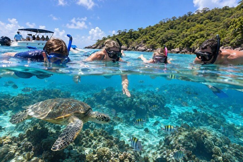 Luxury Reef and Nylon Pool Adventure 4