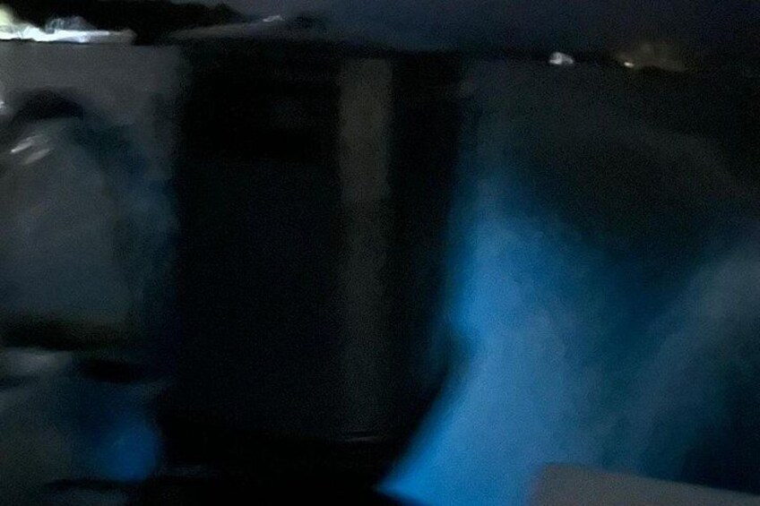 Luxury Bioluminescence Tour 3