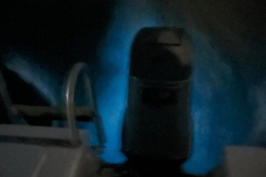 Luxury Bioluminescence Tour 2