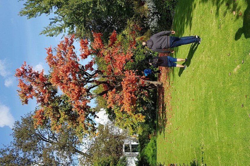 Full Day Afrivista Wine Tours from Stellenbosch 4