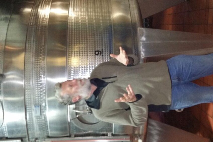 Full Day Afrivista Wine Tours from Stellenbosch 2