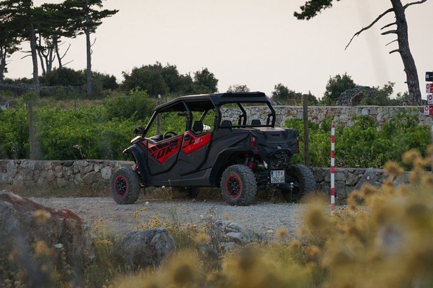 4-Seater Buggy — Self-Guided Adventure in Hvar 1