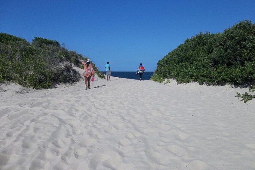 Una spiaggia sabbiosa con due persone che camminano verso l'oceano. 4