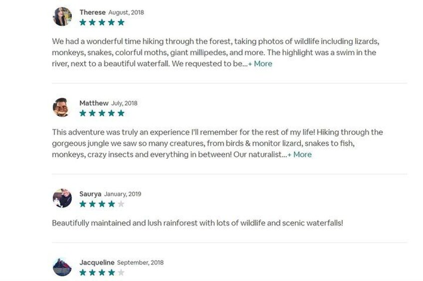 Explore Singharaja Forest Reserve (mirissa/weligama & Galle) 1