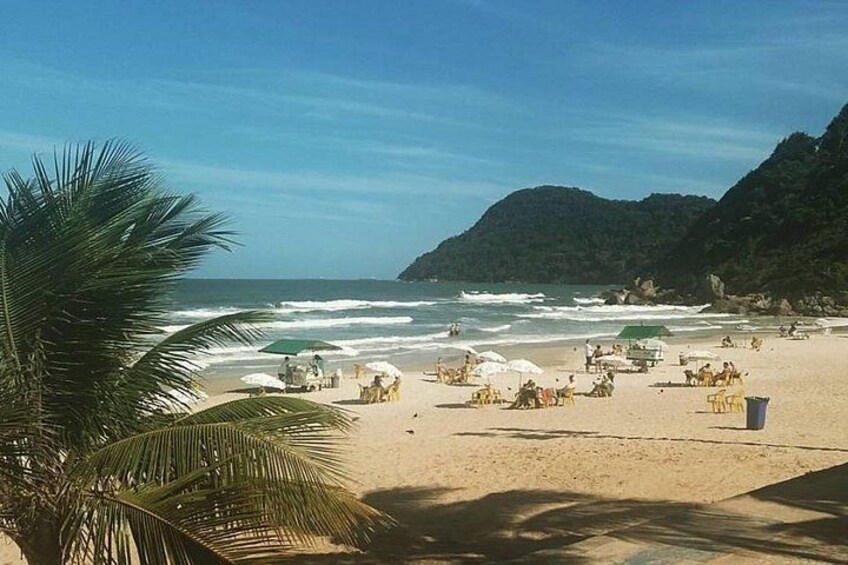 A beach with palm trees, umbrellas, and people. 1