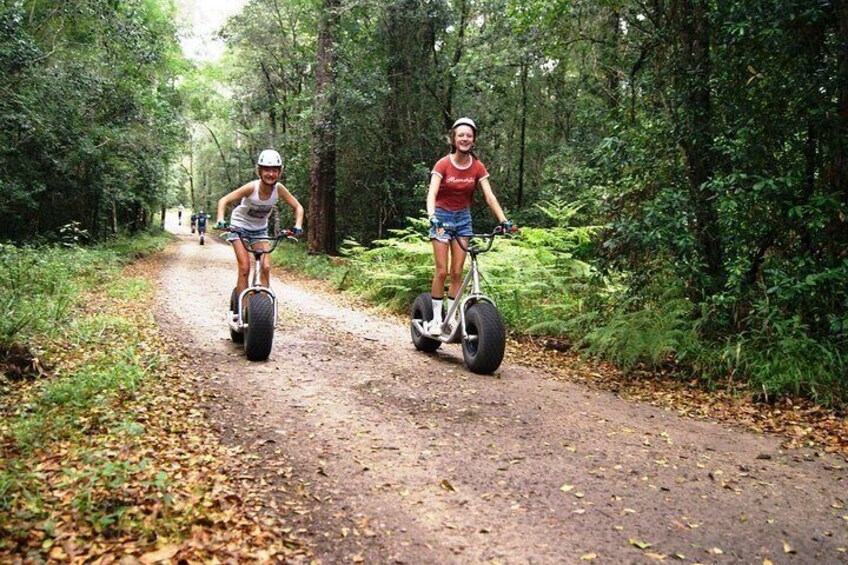 Experience the Knysna Forests 5