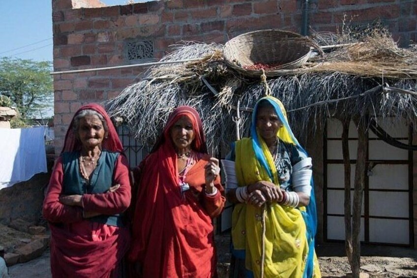 Bishnoi Village Safari Half- Day Tour From Jodhpur 2