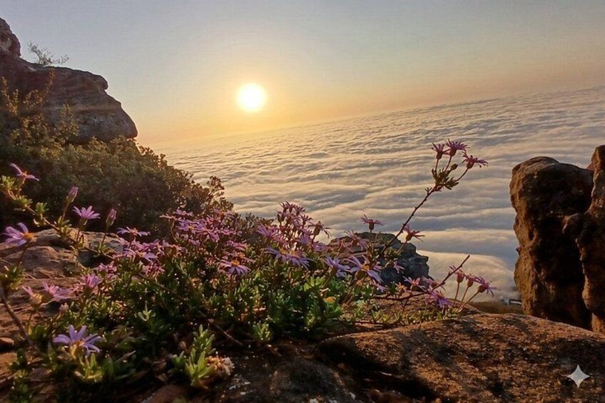 Cape Town: Lion's Head Hike Sunrise coffee/tea or Sunset 3