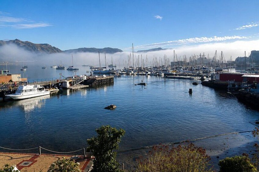 Cape of Good Hope, Cape Point & Penguins Private Afternoon Tour 3