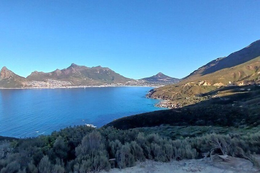 Cape of Good Hope, Cape Point & Penguins Private Afternoon Tour 3