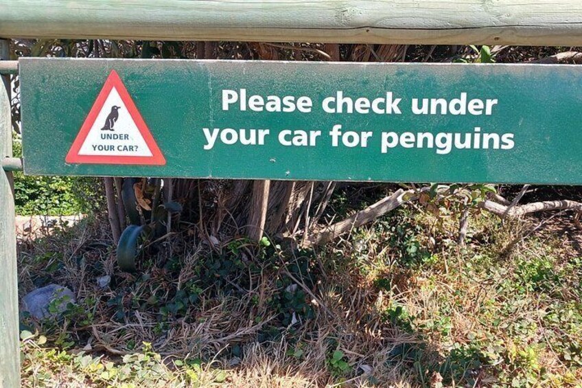 Beware! 4