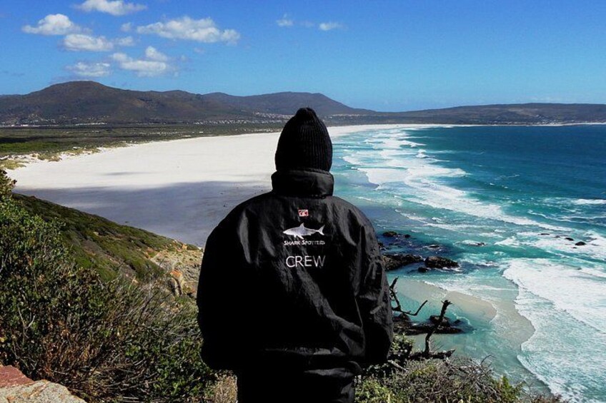 Shark spotters 1