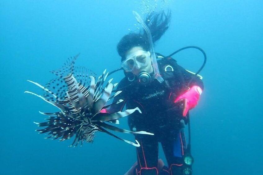 Lionfish and diver. 4