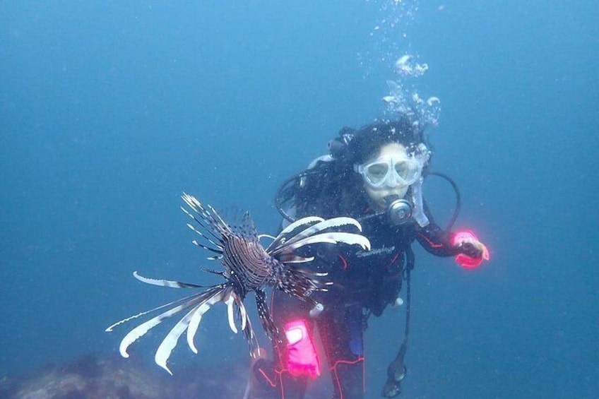 Lionfish and diver. 5