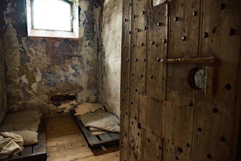 'Try A Cell' 2