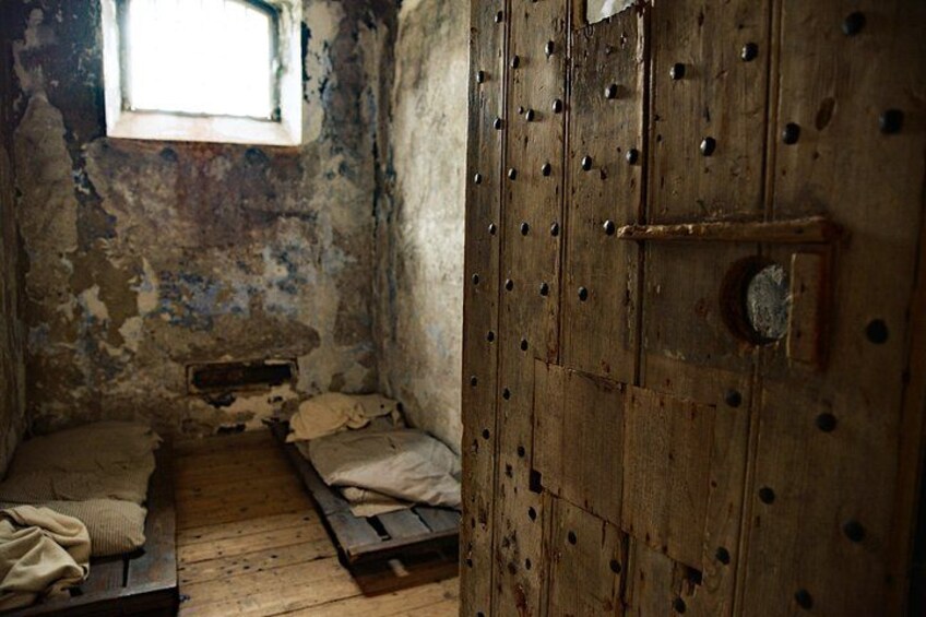 'Try A Cell' 2