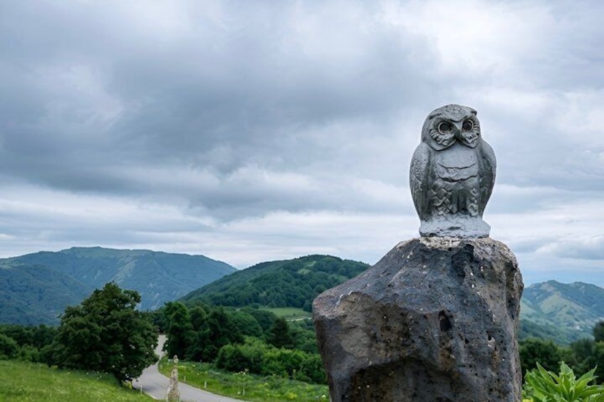Didgori Battle Memorial Private Tour from Tbilisi 5