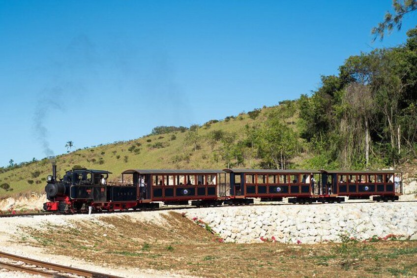 Train Returning To The Station 2