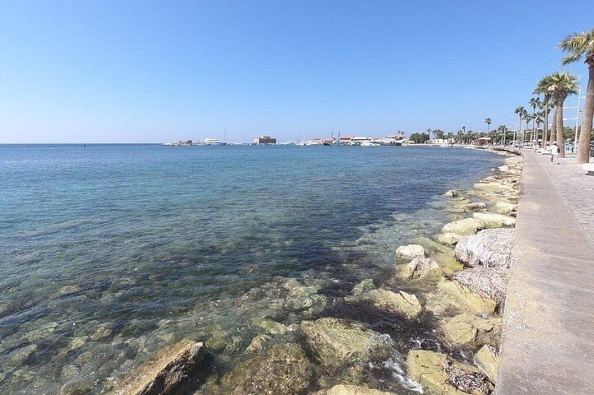 Half-Day Scuba Diving Tour - Discover Scuba Diving! 4