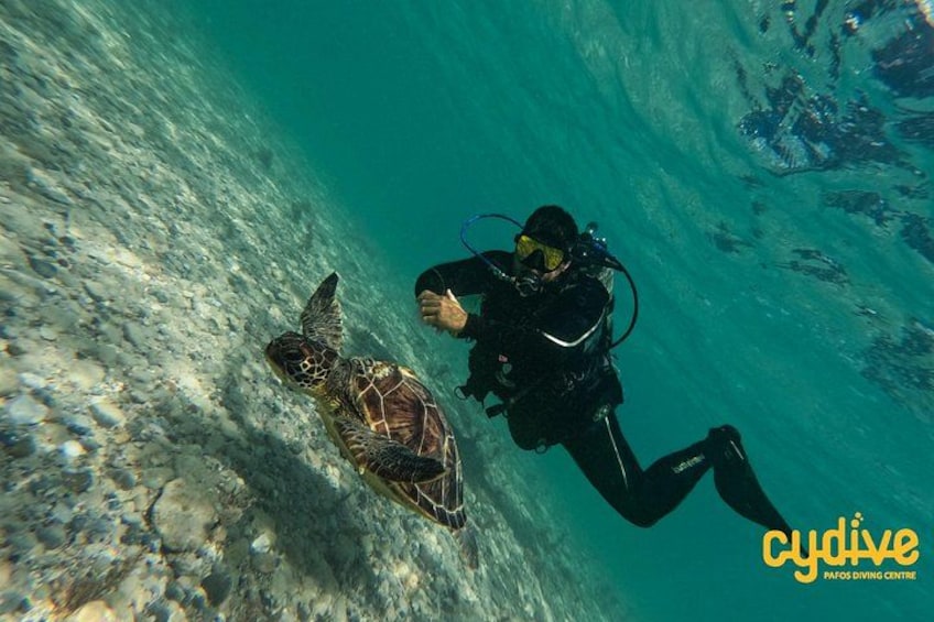 Half-Day Scuba Diving Tour - Discover Scuba Diving! 3