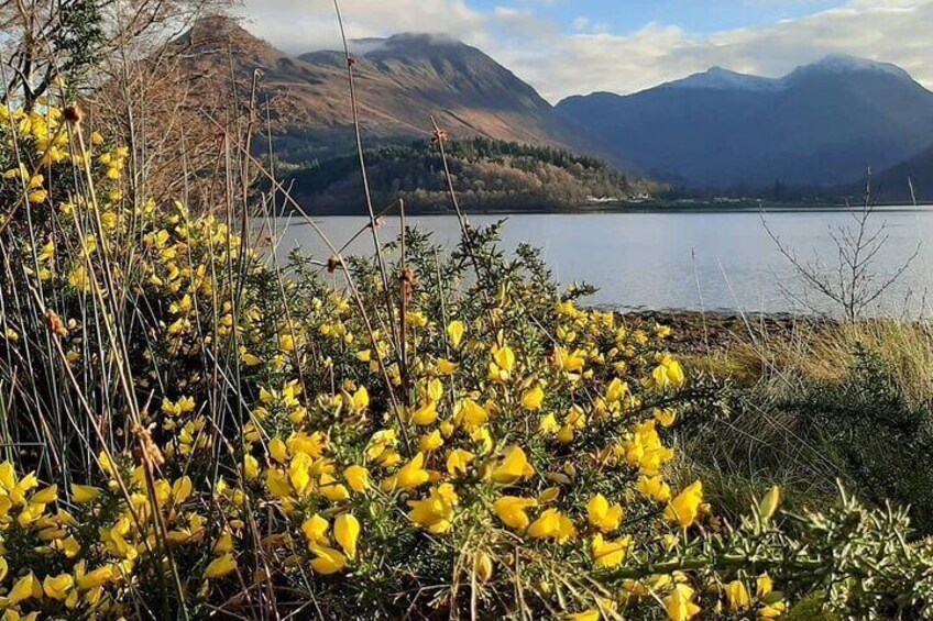 Magestic Wester Ross