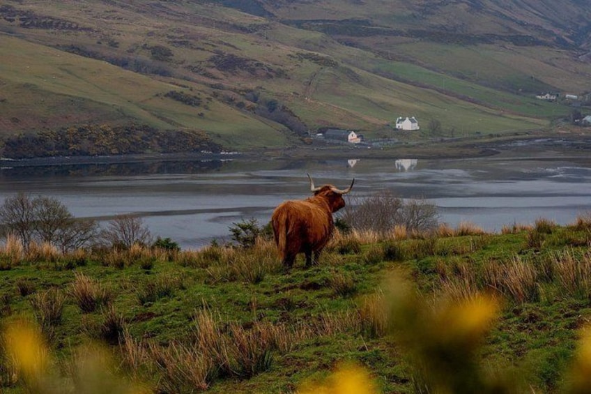 Isle of Skye and the Fairy Pools Tour 1