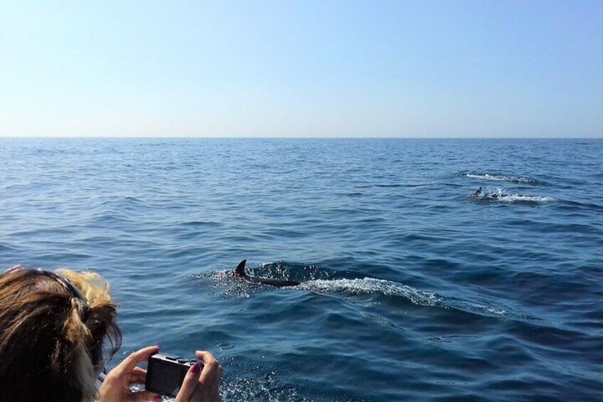A person taking a photo of a whale in the ocean. 2