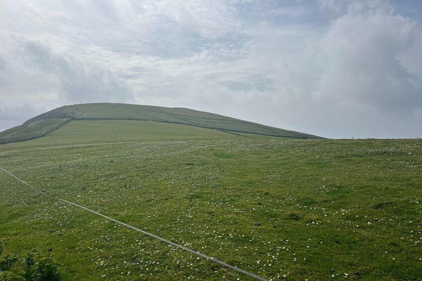 Cliffs of Moher Private Tour from Killarney 2