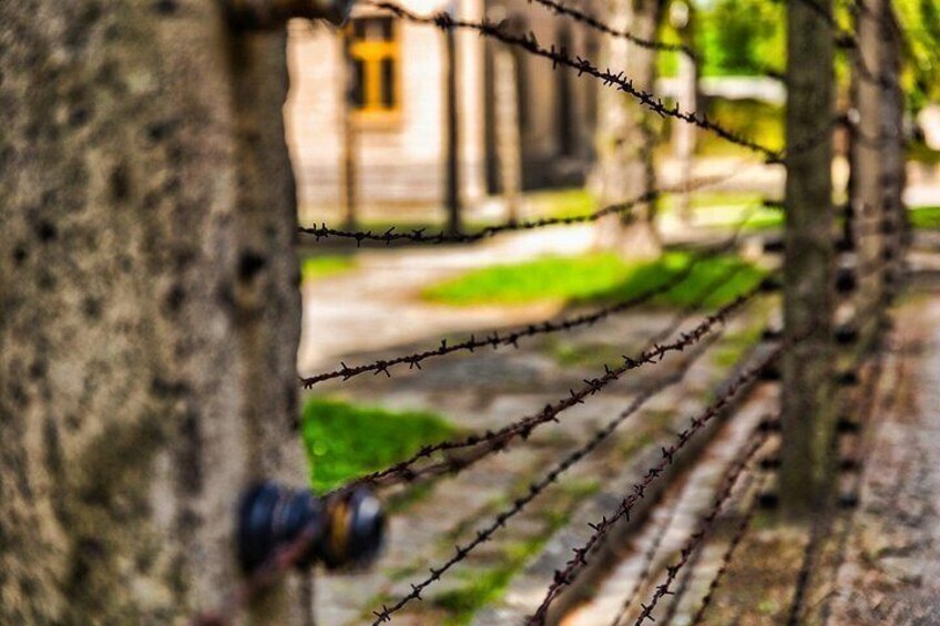 A barbed wire fence, a tree trunk, and a blurred building in the background. 2