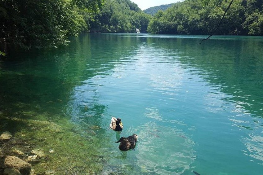 Plitvice Lakes Small Group Tour Ecco from Split or Trogir 4