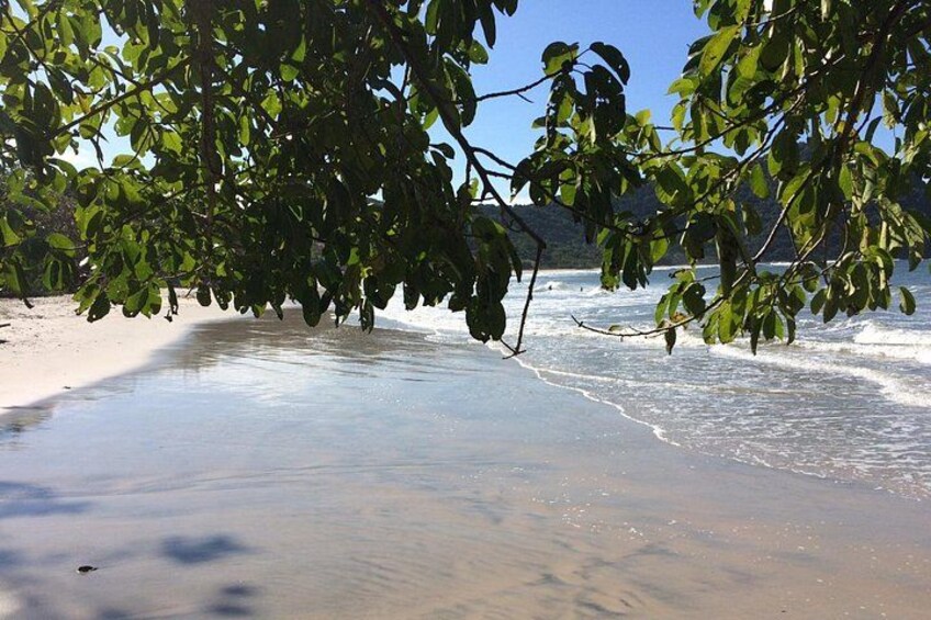 A beach with clear water, sandy shore, and green foliage. 4