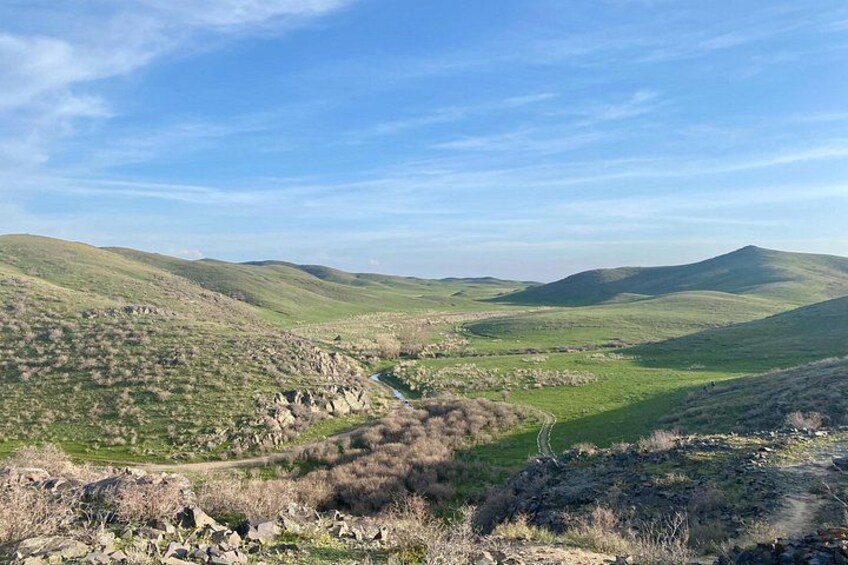 Colinas onduladas, un camino sinuoso y un cielo azul despejado. 5