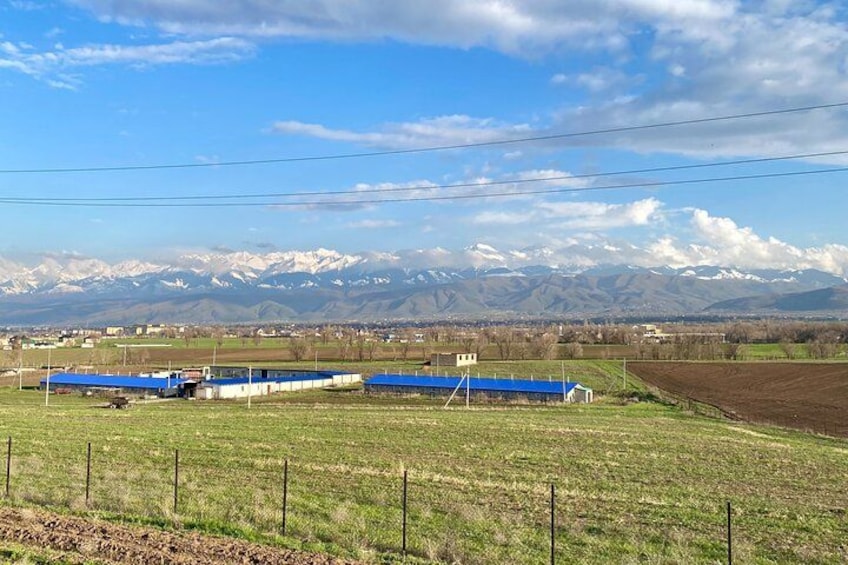 Un paysage rural avec des champs, une clôture et une rangée de bâtiments aux toits bleus. 4