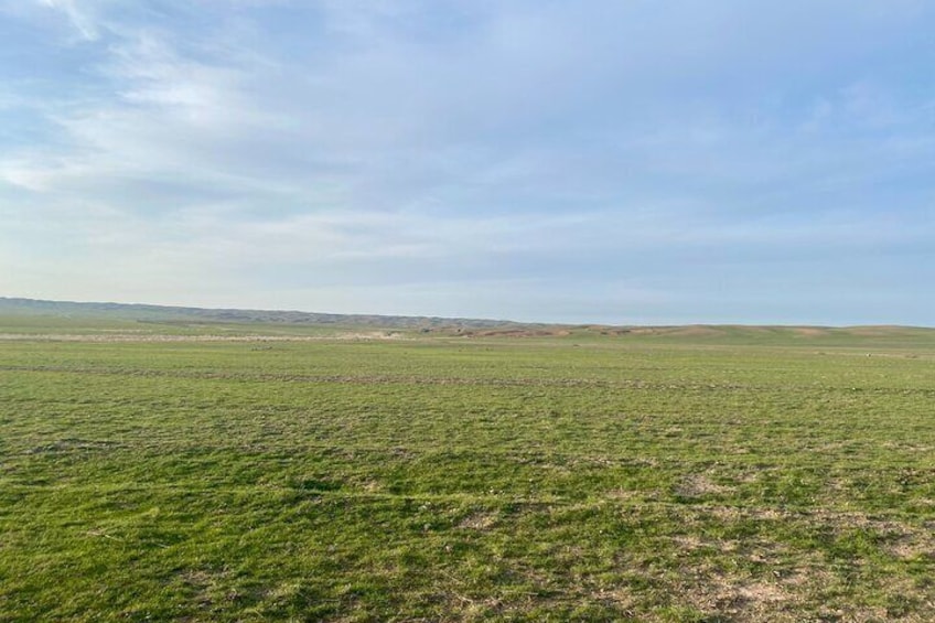Un campo abierto y extenso con un horizonte lejano bajo un cielo despejado. 3