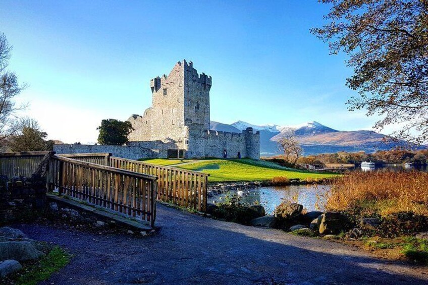 Killarney Jaunting Car Tour & Lily of Killarney Watercoach starts at Ross Castle